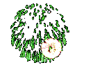 Gif animé feux d'artifices 185